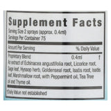 Zand Herbal Mist Throat Spray - 1 Fl Oz