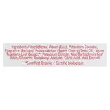 South Of France - Hand Wash Foam Cherry Blossom - 1 Each - 8 Oz